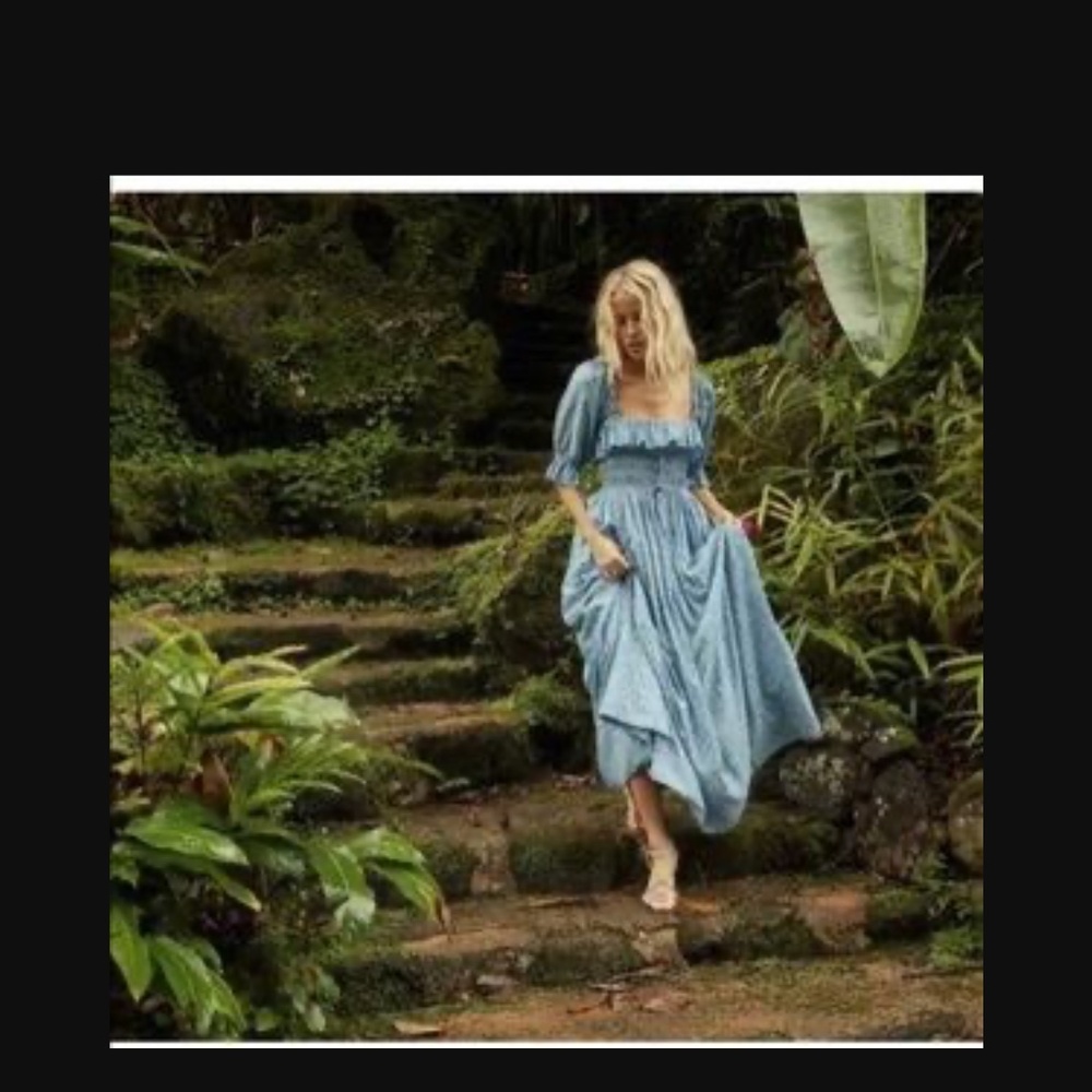 ISO Doen Sol Dress XS or S Blue Garden Bloom